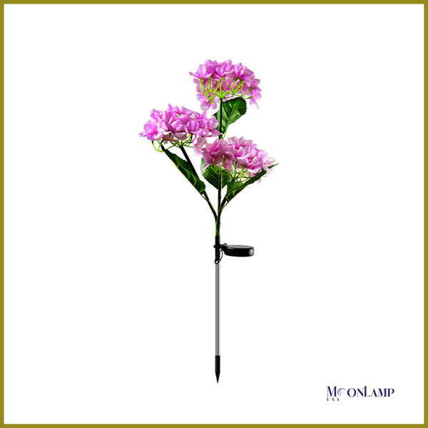 Hydrangea Rose garden light