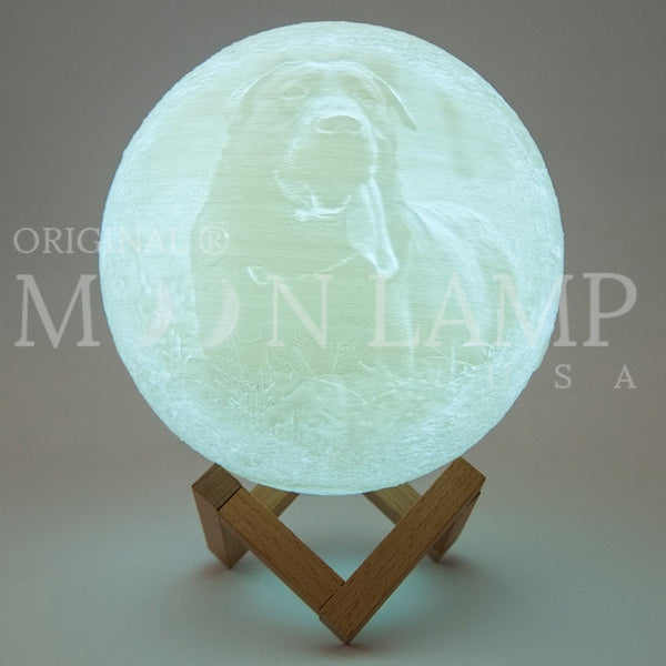 3d print on 8 inch personalized moon lamp of image with a dog