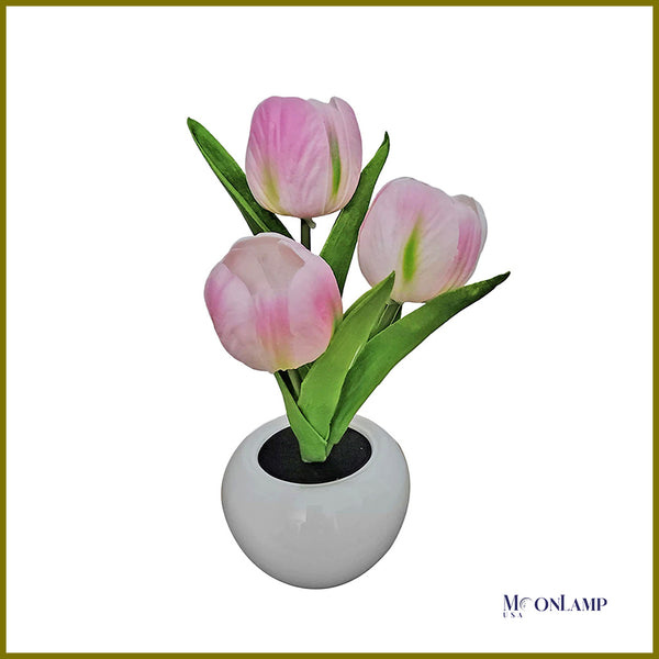 Pink Tulip Lamp
