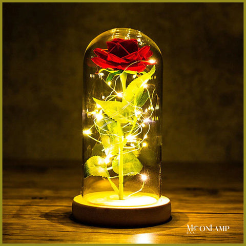 light up rose in a glass dome turned on